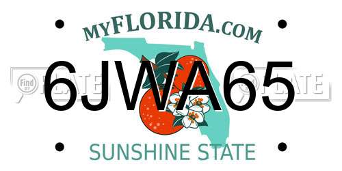 6JWA65 Florida License Plate