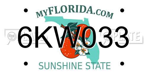6KW033 Florida License Plate