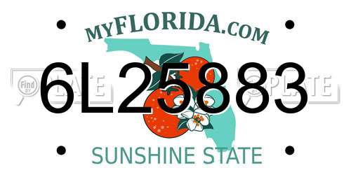 6L25883 Florida License Plate