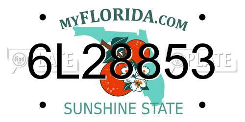 6L28853 Florida License Plate