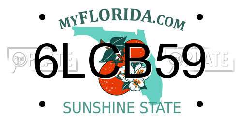 6LCB59 Florida License Plate
