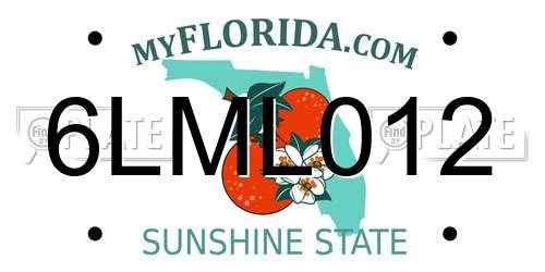 6LML012 Florida License Plate