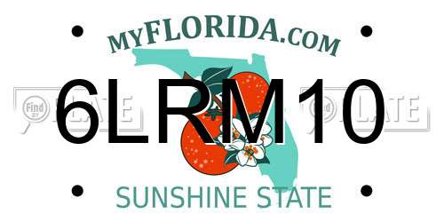 6LRM10 Florida License Plate
