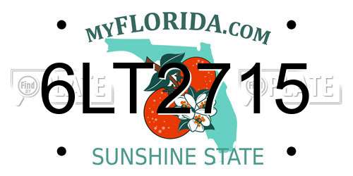 6LT2715 Florida License Plate