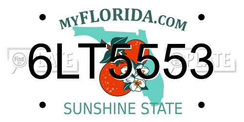 6LT5553 Florida License Plate