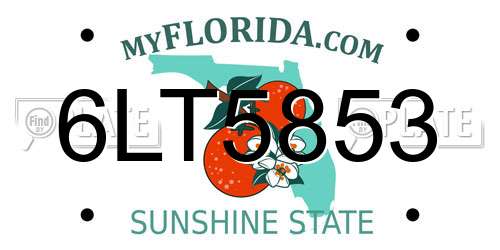 6LT5853 Florida License Plate