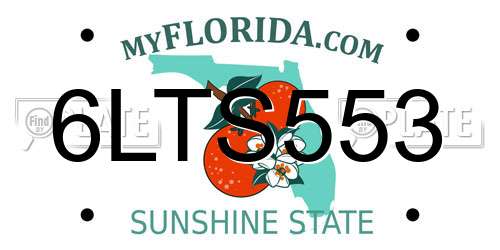 6LTS553 Florida License Plate