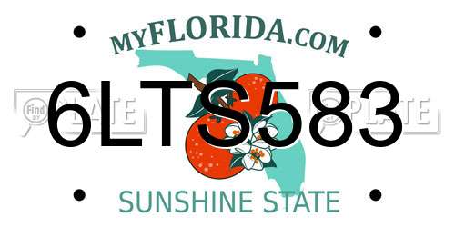 6LTS583 Florida License Plate