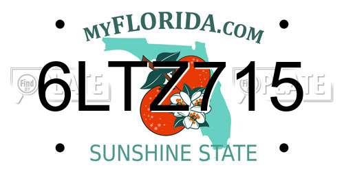 6LTZ715 Florida License Plate