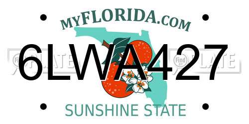 6LWA427 Florida License Plate