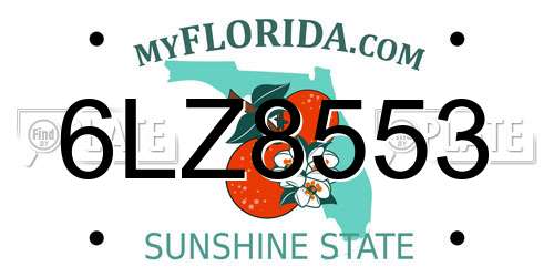 6LZ8553 Florida License Plate