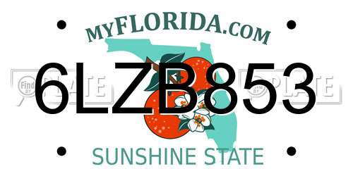 6LZB853 Florida License Plate