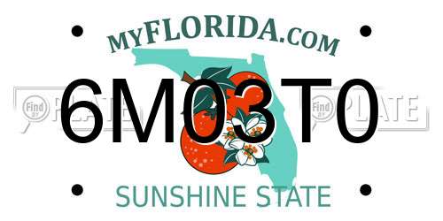 6M03T0 Florida License Plate