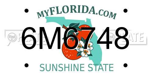 6M6748 Florida License Plate