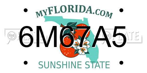 6M67A5 Florida License Plate