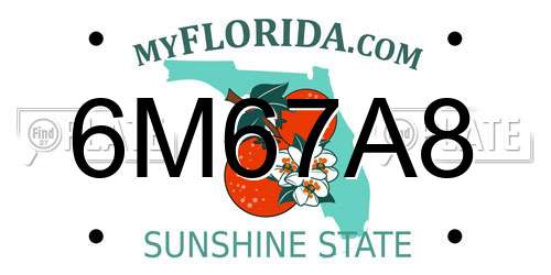 6M67A8 Florida License Plate