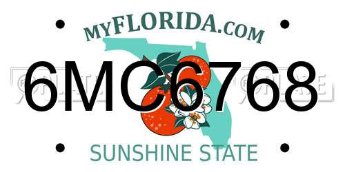 6MC6768 Florida License Plate