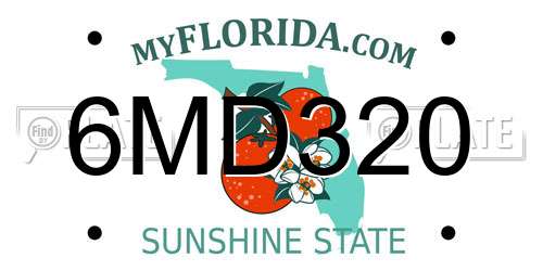 6MD320 Florida License Plate