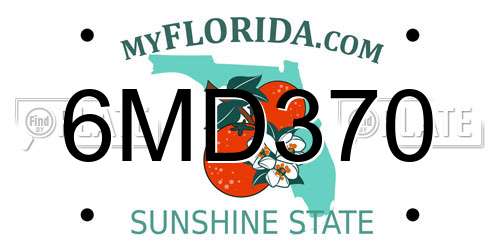 6MD370 Florida License Plate