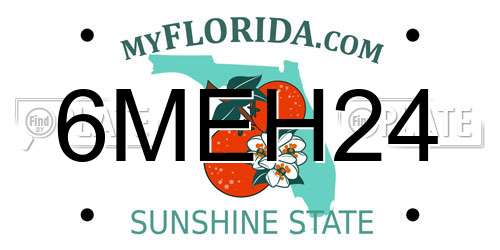 6MEH24 Florida License Plate