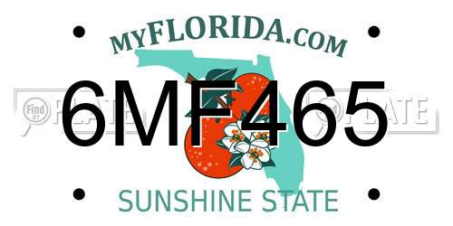 6MF465 Florida License Plate