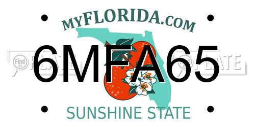 6MFA65 Florida License Plate