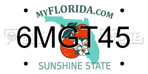 6MGT45 Florida License Plate