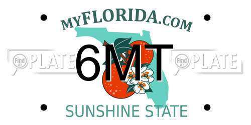 6MT Florida License Plate