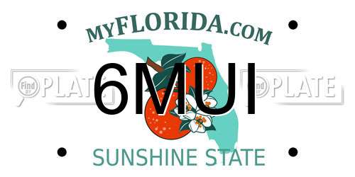 6MUI Florida License Plate