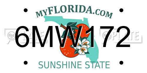6MW172 Florida License Plate