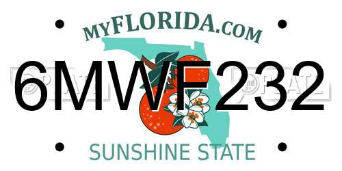 6MWF232 Florida License Plate