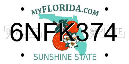 6NFK374 Florida License Plate
