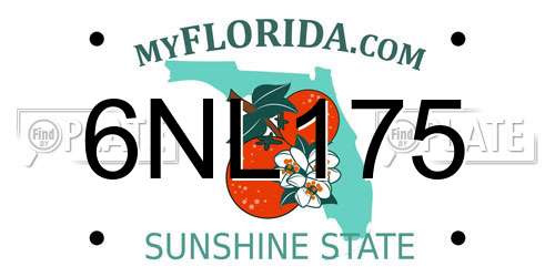 6NL175 Florida License Plate