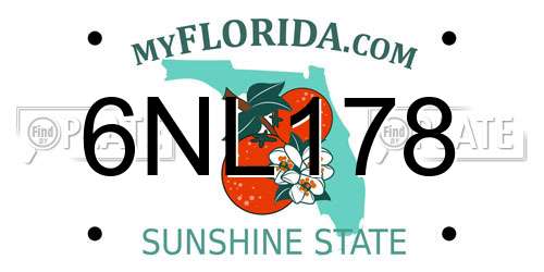 6NL178 Florida License Plate