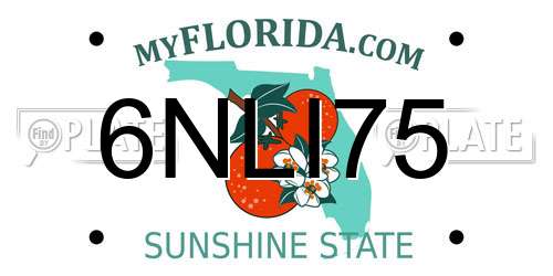 6NLI75 Florida License Plate
