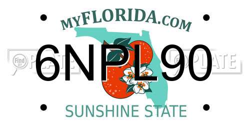 6NPL90 Florida License Plate