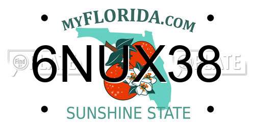 6NUX38 Florida License Plate
