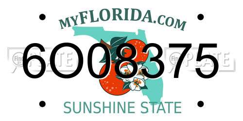 6O08375 Florida License Plate