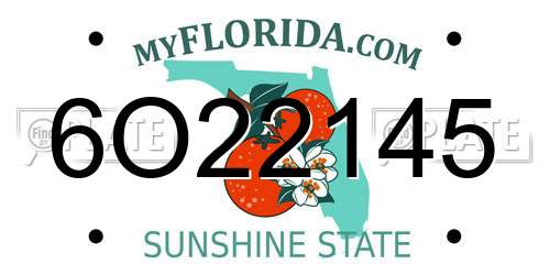 6O22145 Florida License Plate