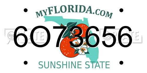 6O73656 Florida License Plate