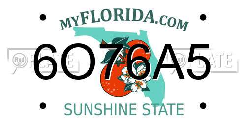 6O76A5 Florida License Plate