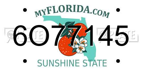 6O77145 Florida License Plate
