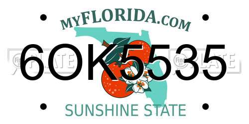 6OK5535 Florida License Plate