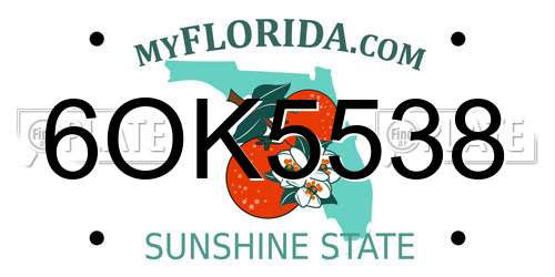 6OK5538 Florida License Plate