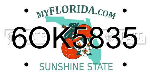6OK5835 Florida License Plate
