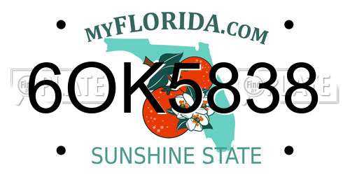 6OK5838 Florida License Plate