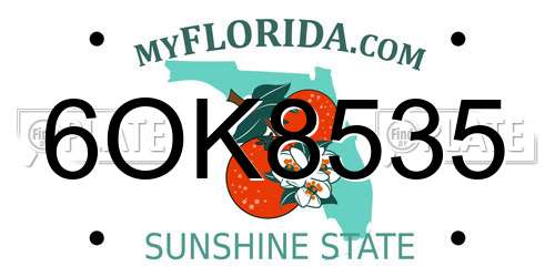 6OK8535 Florida License Plate