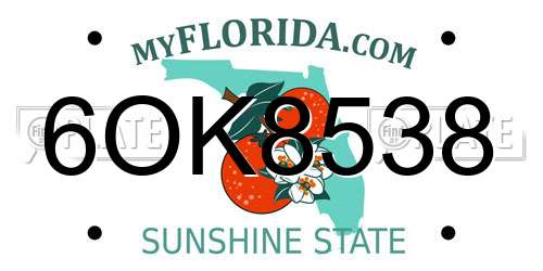 6OK8538 Florida License Plate