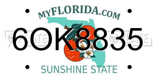 6OK8835 Florida License Plate