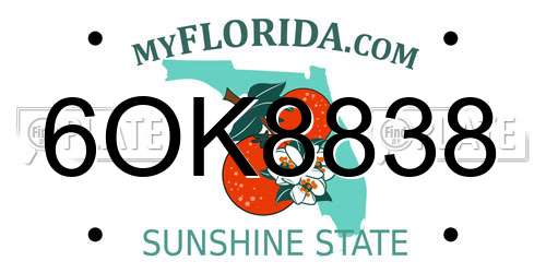 6OK8838 Florida License Plate